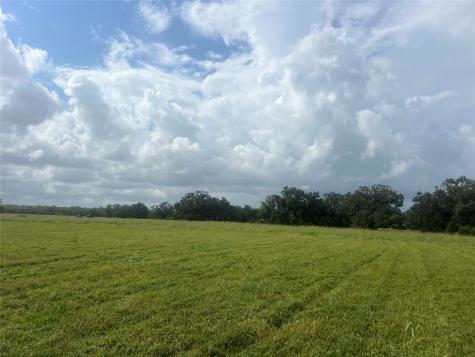1238 Frontier Trail Angleton TX 77515