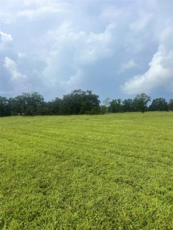 1238 Frontier Trail Angleton TX 77515
