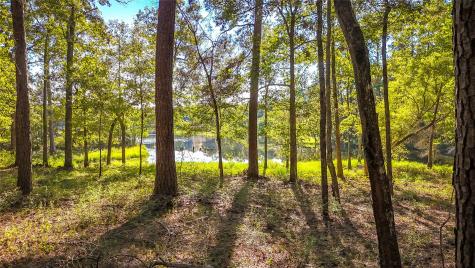 Tbd 13 & 14 Summer Place Livingston TX 77351