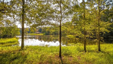 Tbd 13 & 14 Summer Place Livingston TX 77351