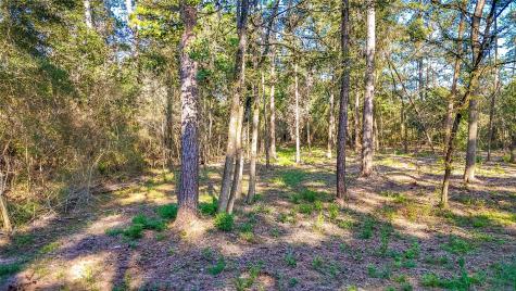 Tbd 13 & 14 Summer Place Livingston TX 77351
