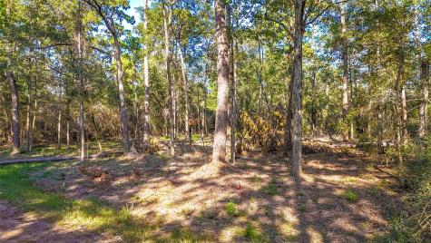 Tbd 13 & 14 Summer Place Livingston TX 77351