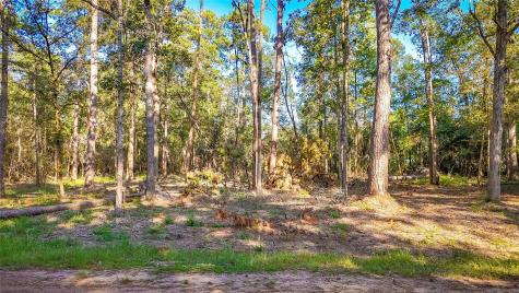 Tbd 13 & 14 Summer Place Livingston TX 77351