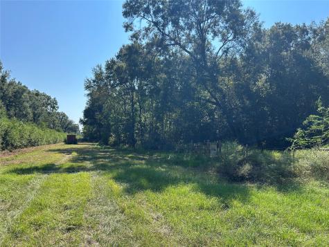 Mcguire Road Liberty TX 77575