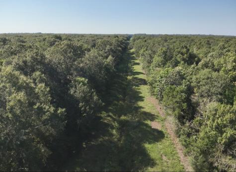 Mcguire Road Liberty TX 77575
