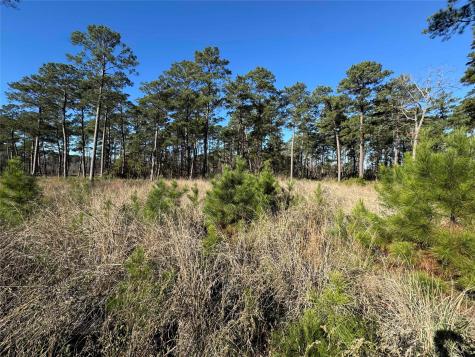 030 Private Road 6026 Brookeland TX 75931