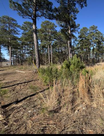 030 Private Road 6026 Brookeland TX 75931