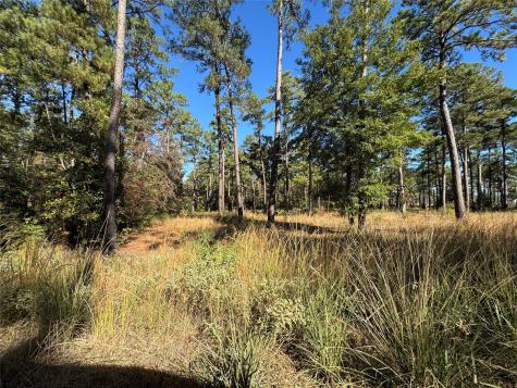 030 Private Road 6026 Brookeland TX 75931