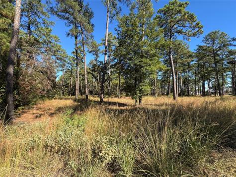 030 Private Road 6026 Brookeland TX 75931