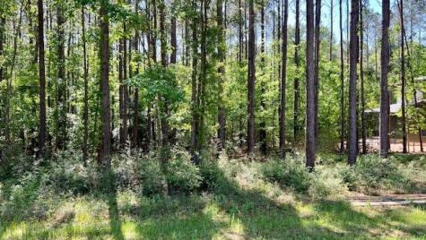 Tbd Westridge Park Livingston TX 77351