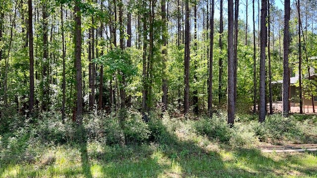 Tbd Westridge Park Livingston TX 77351