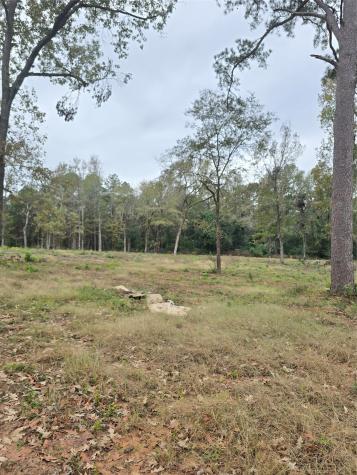 1006 S Houston Avenue Livingston TX 77351