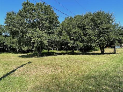 Lot 119 & Lot 120 Robindale Lane Fairfield TX 75840