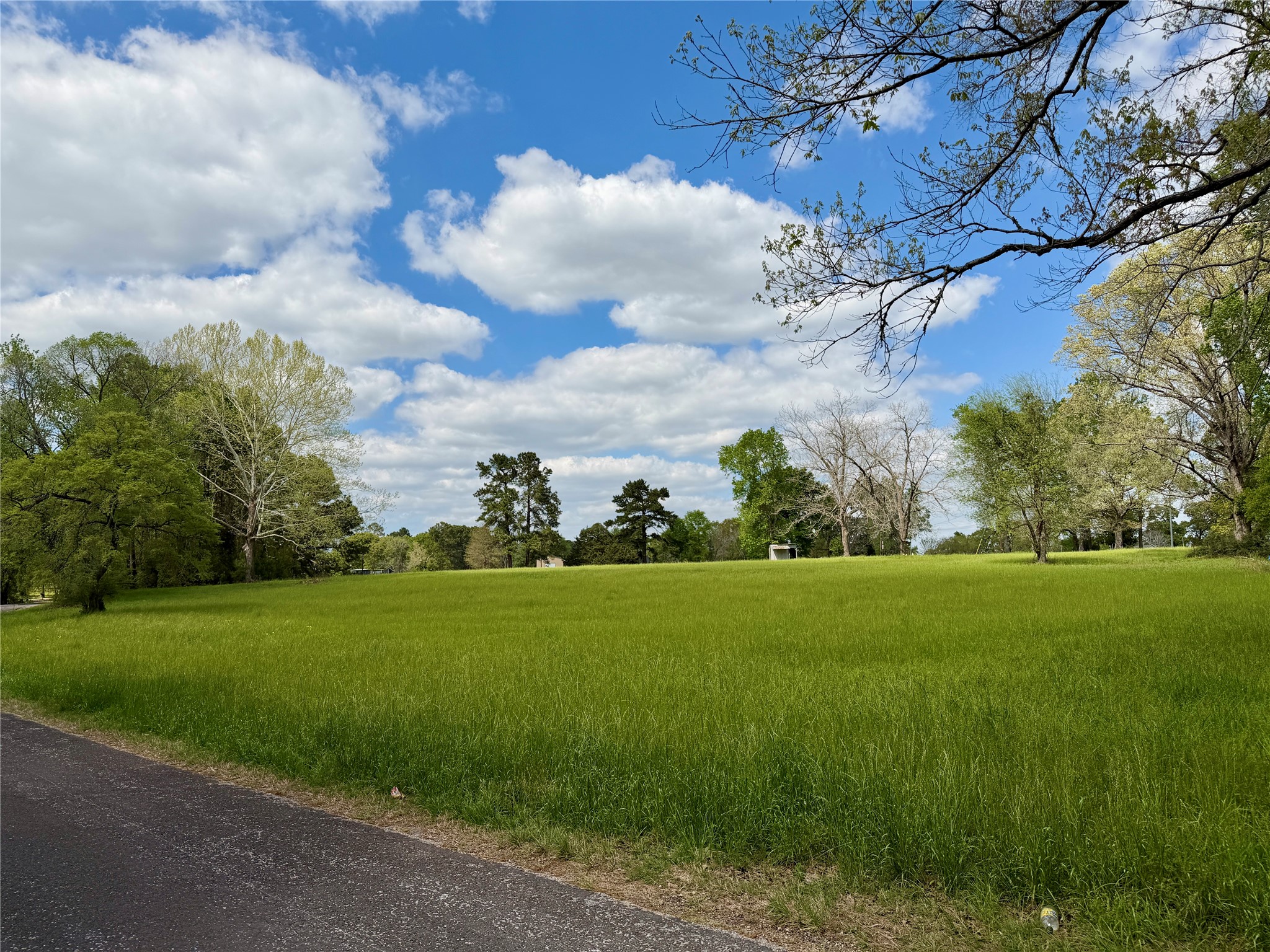 Tbd Horace Bonds Road Livingston TX 77351