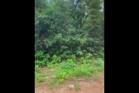 0 2741 Cleveland TX 77327
