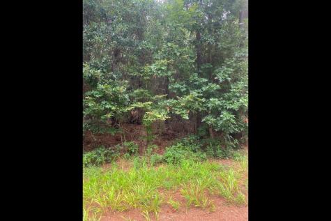 0 2741 Cleveland TX 77327