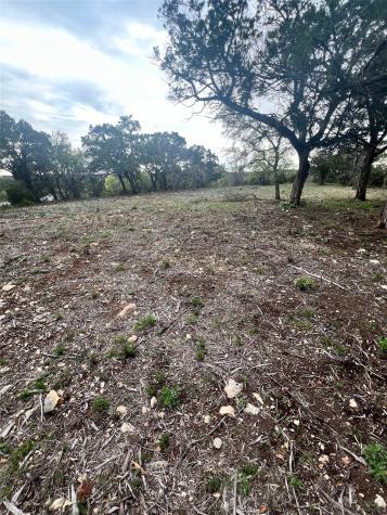 19705 Tyler Trail Leander TX 78645