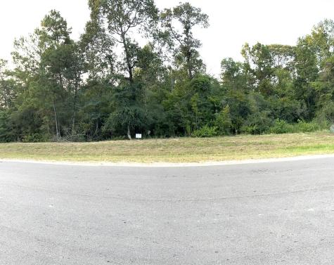 15812 Republic Ranch Road N Willis TX 77378