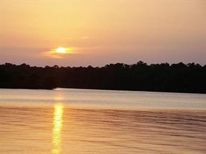 Tbd Waterwood Bay Rd, Marina Acc Road Huntsville TX 77320