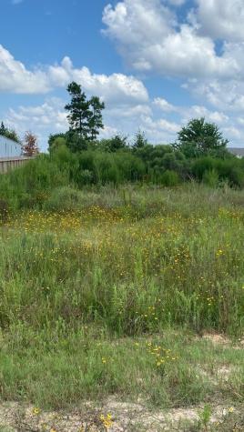 439 Road 5842 Cleveland TX 77327