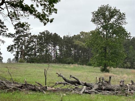 Lot 203 Overhill Court Hillister TX 77624