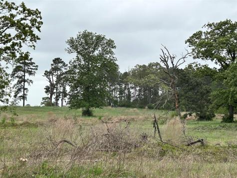 Lot 203 Overhill Court Hillister TX 77624