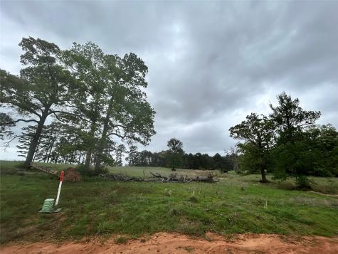 Lot 203 Overhill Court Hillister TX 77624