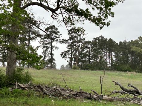 Lot 203 Overhill Court Hillister TX 77624