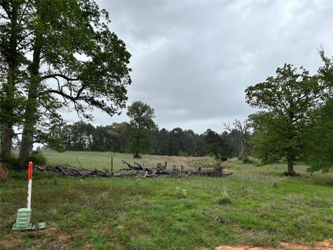Lot 203 Overhill Court Hillister TX 77624