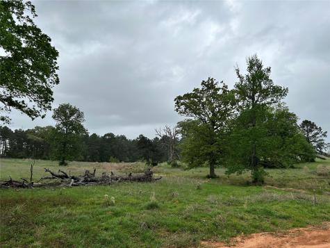 Lot 203 Overhill Court Hillister TX 77624