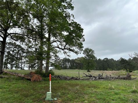 Lot 203 Overhill Court Hillister TX 77624