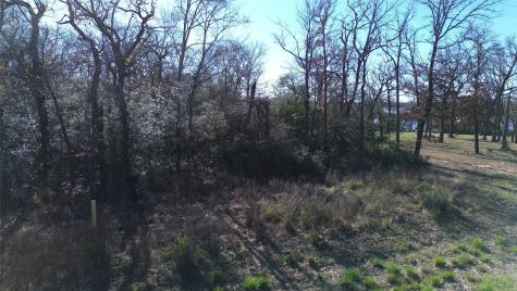 Lot 33 Cr 3675 Marquez TX 77865