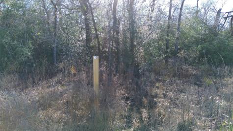 Lot 33 Cr 3675 Marquez TX 77865