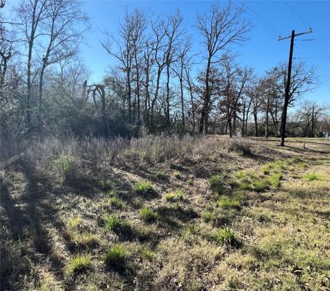 Lot 33 Cr 3675 Marquez TX 77865