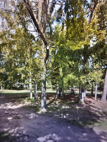 0 Woodlands Drive Trinity TX 75862