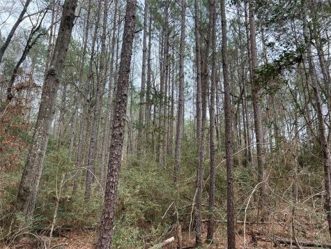 Tbd Baxter Road Livingston TX 77351