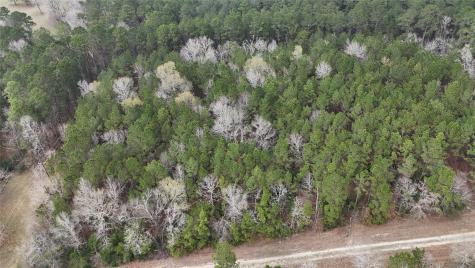 Tbd Baxter Road Livingston TX 77351