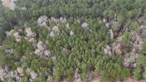 Tbd Baxter Road Livingston TX 77351