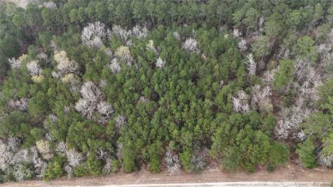 Tbd Baxter Road Livingston TX 77351