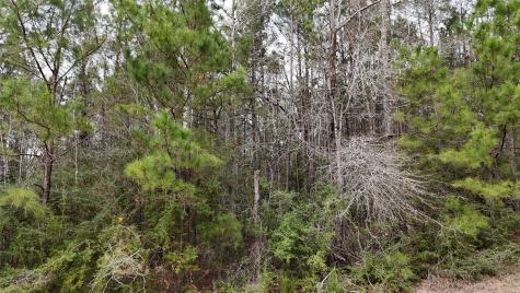 Tbd Baxter Road Livingston TX 77351