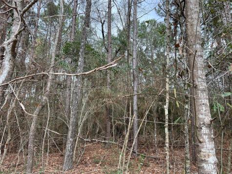 Tbd Baxter Road Livingston TX 77351