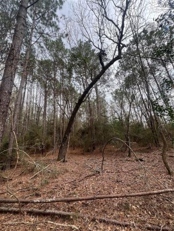 Tbd Baxter Road Livingston TX 77351