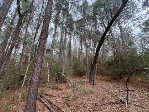 Tbd Baxter Road Livingston TX 77351