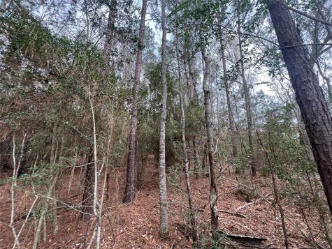 Tbd Baxter Road Livingston TX 77351