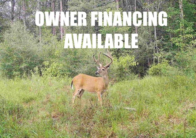 Tbd State Highway 87 Kirbyville TX 75956