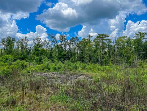 Tbd State Highway 87 Kirbyville TX 75956