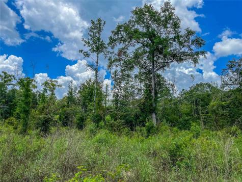 Tbd State Highway 87 Kirbyville TX 75956