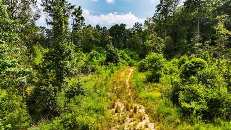 Tbd State Highway 87 Kirbyville TX 75956