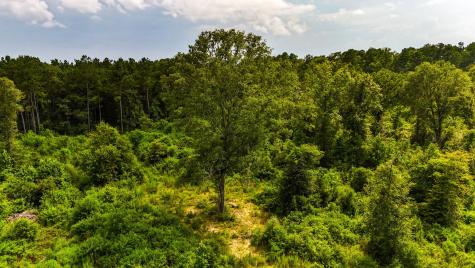 Tbd State Highway 87 Kirbyville TX 75956