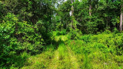 Tbd State Highway 87 Kirbyville TX 75956